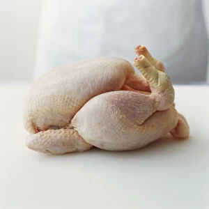 Whole raw chicken, side view