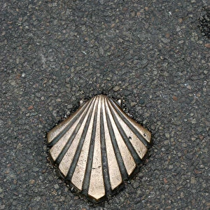 Santiago trail scallop shell sign
