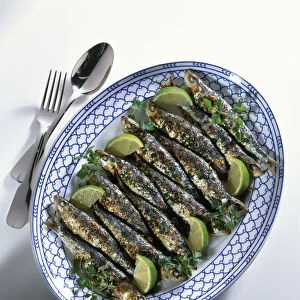 Sardines with coriander served on oval plate, garnished with lime and parsley