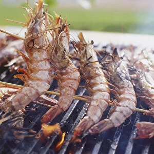 Skewered crayfish cooking on the grill