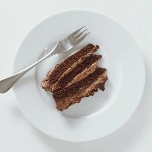 Slice of chocolate cream cake on a plate, with a fork, view from above