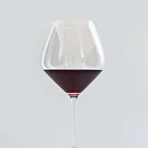 Sparkling wine against grey background, close-up