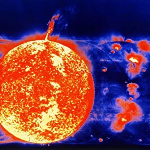 Sunspots and prominences in 1973. Image from Skylabs solar telescope. NASA photograph