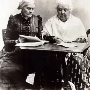 1899 Collection: January