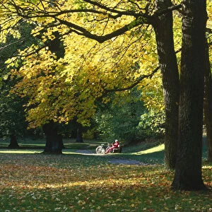 Sweden, Stockholm, profusion of autumn colours and fallen leaves in Hagaparken. In the distance people are seated underneath a shaft of light on a park bench