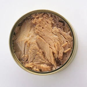 Tinned tuna in olive oil