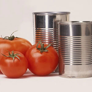 Three tomatoes and next to aluminium food tins, front view