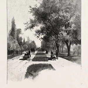 Toronto, College Avenue (Queen Street), Canada, Nineteenth Century Engraving