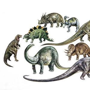 Various dinosaurs, illustration