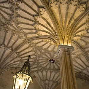 Vaulted ceilings of Magdalen College Oxford s
