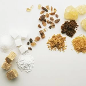 Above view of various forms of Sugar including Coffee sugar, Muscovado sugar, Granulated, cube, icing, brown and white sugar, yellow Rock sugar, Barbados sugar, and Demerara sugar