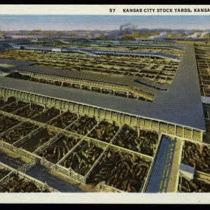 Kansas City Stockyards. ca. 1937, Kansas City, Missouri, USA, 57. KANSAS CITY STOCK YARDS, KANSAS CITY, MO. Vista di una parte dei recinti per il bestiame guardando a nordovest dal Live Stock Exchange Building. Una media di 20 282 capi di bestiame ricevut Kansas City Stockyards. ca. 1937, Kansas City, Missouri, USA, 57. KANSAS CITY STOCK YARDS, KANSAS CITY, MO. Vista di una parte dei recinti per il bestiame guardando a nordovest dal Live Stock Exchange Building. Una media di 20 282 capi di bestiame ricevut