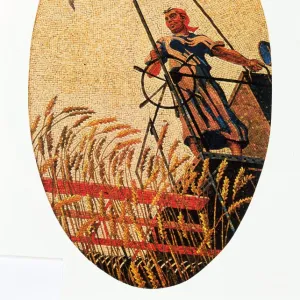 Woman harvesting wheat on combine harvester