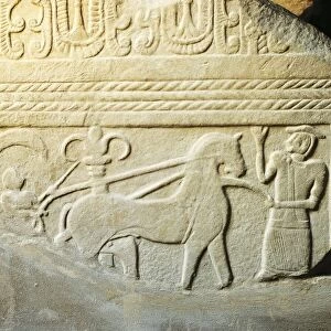 Zannoni stele, detail