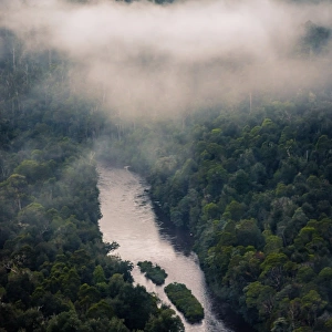 Arthur River from Sumac Lookout, Tarkine Forest, Tasmania