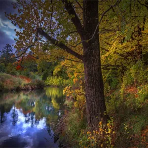 Autumnal colours along the Campaspe riverbank in the country town of Kyneton, Victoria