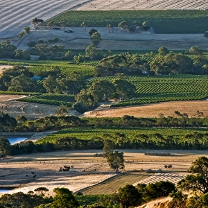 Barossa Valley vineyards