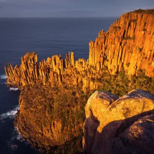 Cape Raoul`s sea cliffs of Dolerite at sunrise, Tasman National Park, Tasmania, Australia