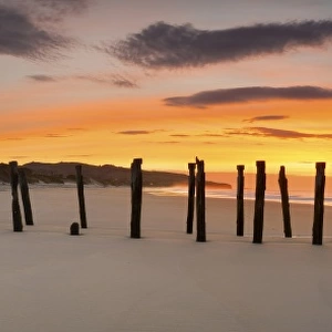 Dunedin St Clair Beach sunrise old jetty / Pier