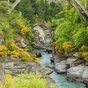 Edith Cavell Bridge, Shotover River