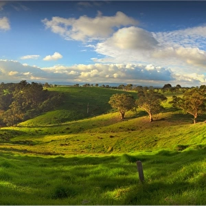 Farmland near Toora, South Gippsland, Victoria, Australia