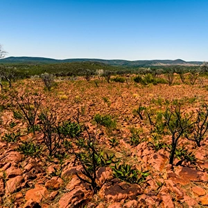 Hills of Gawler Ranges in South Australia