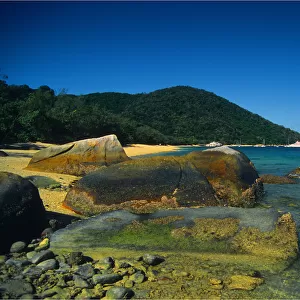 Lady Elliot Island, north Queensland, Australia