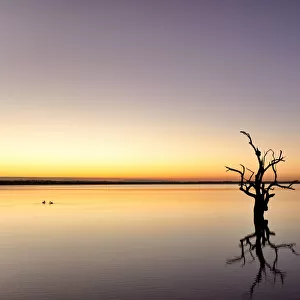 Lake Bonney, South Australia