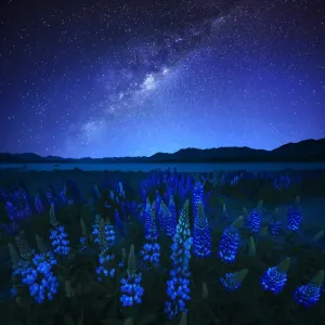 Midnight Blue Lake Tekapo Print Midnight Blue Lake Tekapo Print