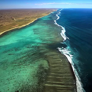 Ningaloo Reef 3