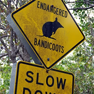 Oddest Street Signs