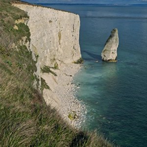 Old Harry Rocks, Dorset coastline, England, United Kingdom