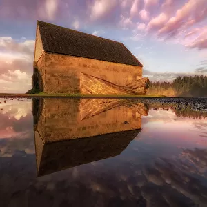Reflections in a water puddle, Norfolk Island, Australia, Southern South Pacific