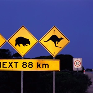 Road Sign, Eucla, Western Australia