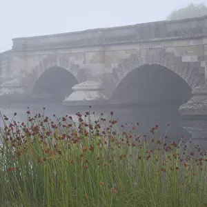 Ross bridge partly hidden by the morning fog