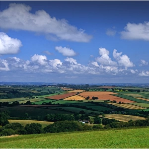 Summer in the Devon countryside, England, United Kingdom