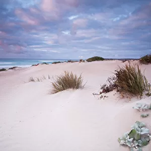 Sunrise over the sand dune