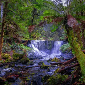 A view to Horseshoe falls in the Mount Field National Park southern Tasmania, Australia