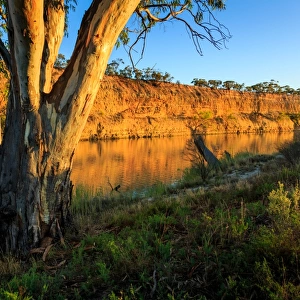 Waikerie. River Murray. South Australia