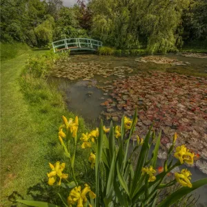 Dorset Collection: Chickerell