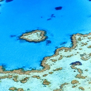 Australian Landmarks Photo Mug Collection: Great Barrier Reef Collection
