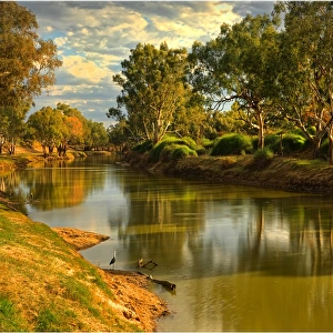 Winter afternoon on the banks of the Cooper creek, outback South Australia