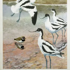Prints of England Prints: Suffolk