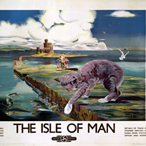 Cats (Domestic) Poster Print Collection: Manx