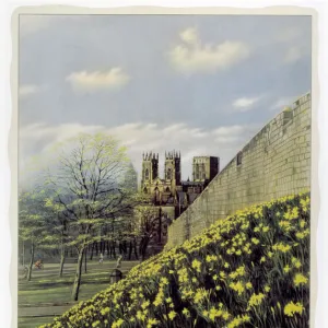 York in Daffodil Time, BR poster, 1950