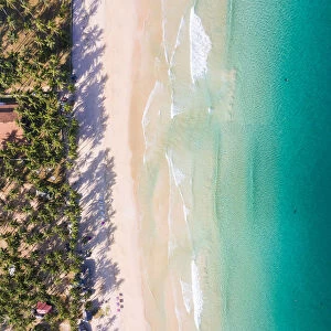 Aerial view of palm fringed beach, El Nido, Philippines