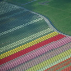 Netherlands Poster Print Collection: Aerial Views