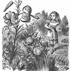 Alice in the Garden of Live Flowers in Through the Looking-Glass