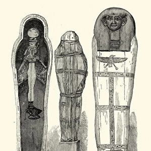 Ancient Egyptian Artefacts - Mummy of Duathathor-Henuttawy and T