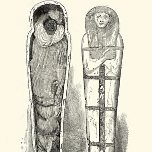 Ancient Egyptian Artefacts - Mummy of the Priest Nebseni